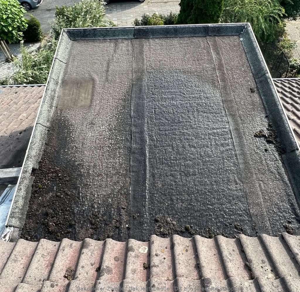 Dak Lekt Zwolle