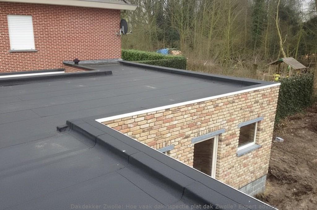 Dakinspectie Plat Dak Zwolle