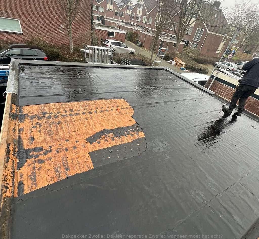 Dakleer Reparatie Zwolle