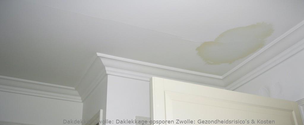 Daklekkage Opsporen Zwolle 1