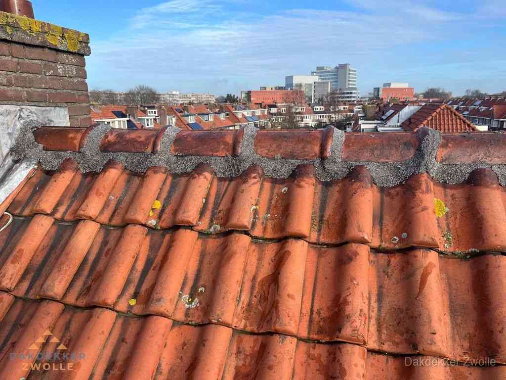 Daken Renoveren Zwolle