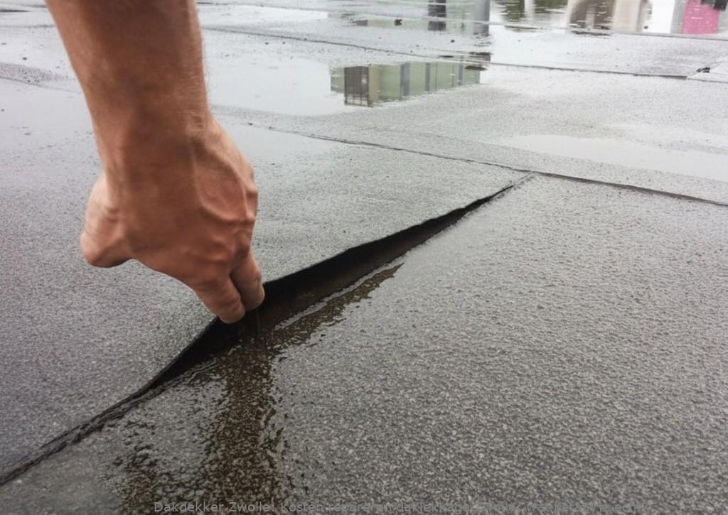 Kosten Repareren Daklekkage Zwolle