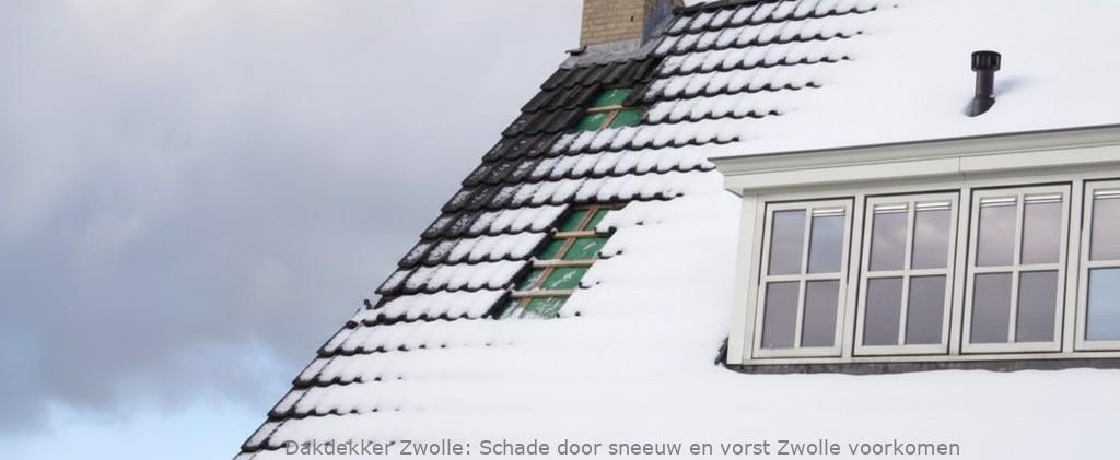 Schade Door Sneeuw En Vorst Zwolle
